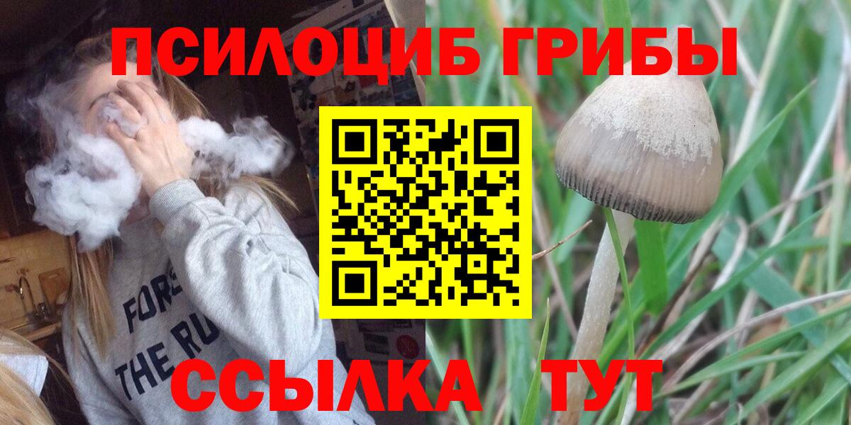 Псилоцибиновые грибы MAGIC MUSHROOMS  Галлюциногенные грибы Psilocybe  Вход с VPN  Нягань 